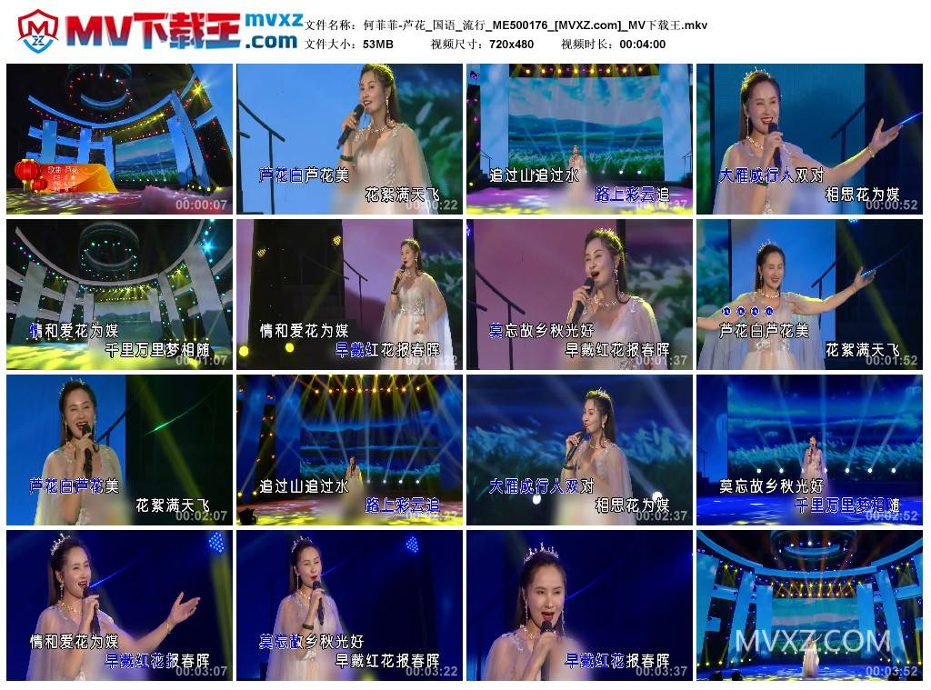 何菲菲-芦花_国语_流行_ME500176